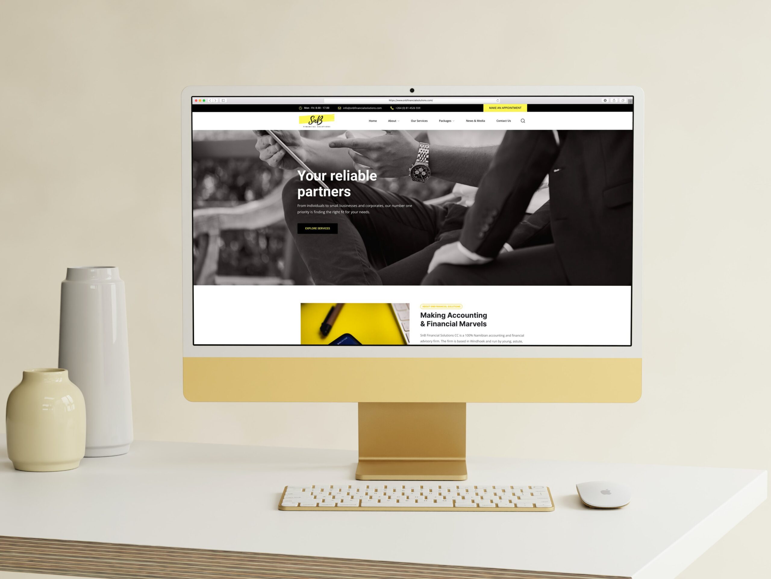 snb-financial-solutions-website-1