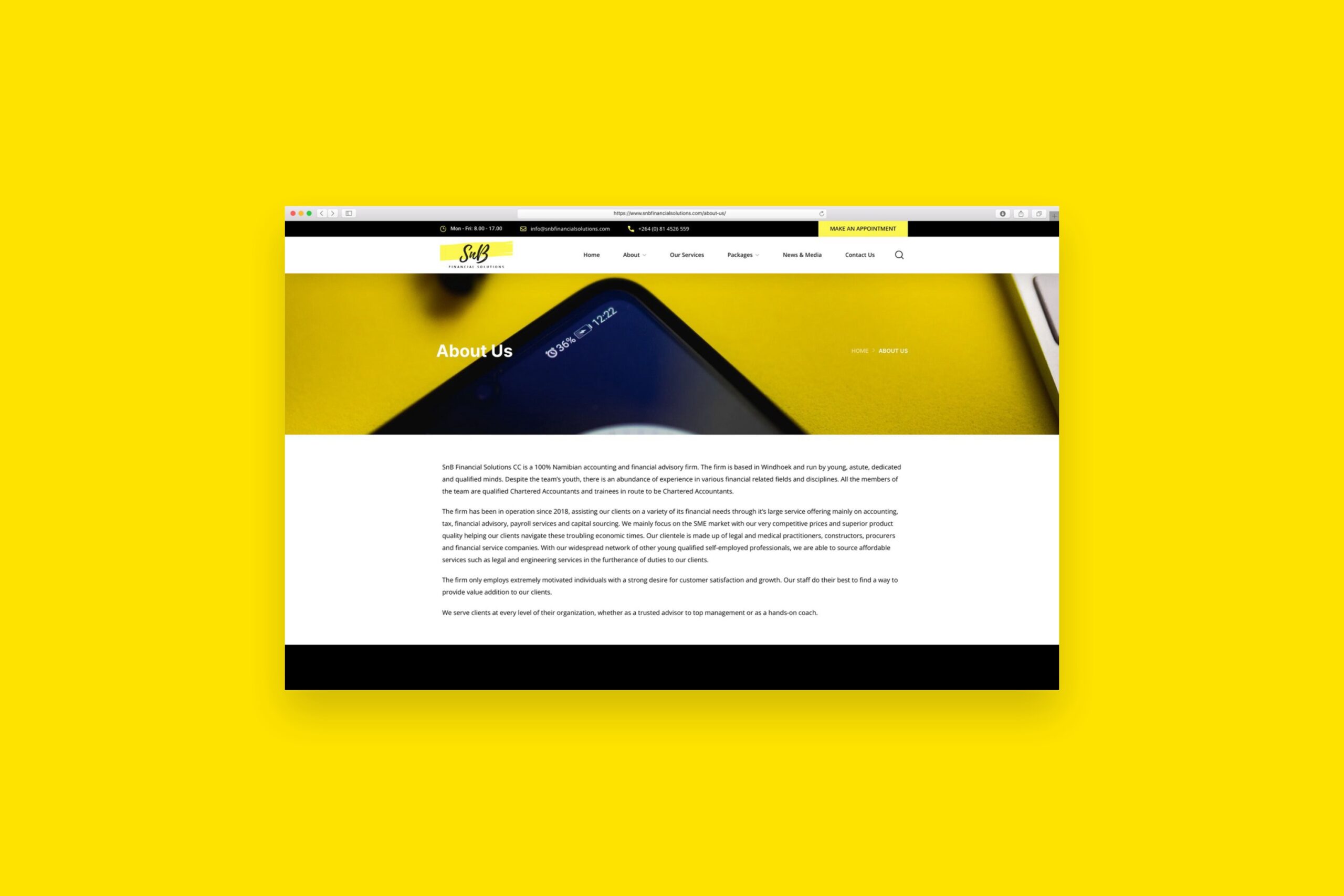 snb-financial-solutions-website-2